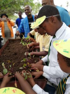 Good Green Deeds Project 001