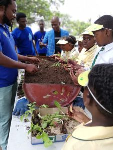 Good Green Deeds Project 017