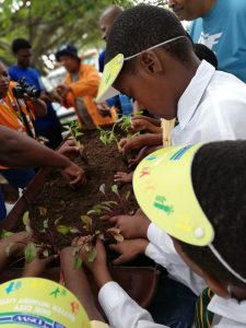 Good Green Deeds Project 019