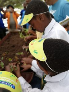 Good Green Deeds Project 020