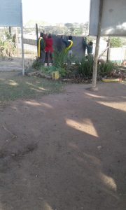 IMG-20190914-WA0008